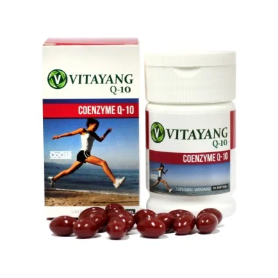 [KK]Coenzyme Q10