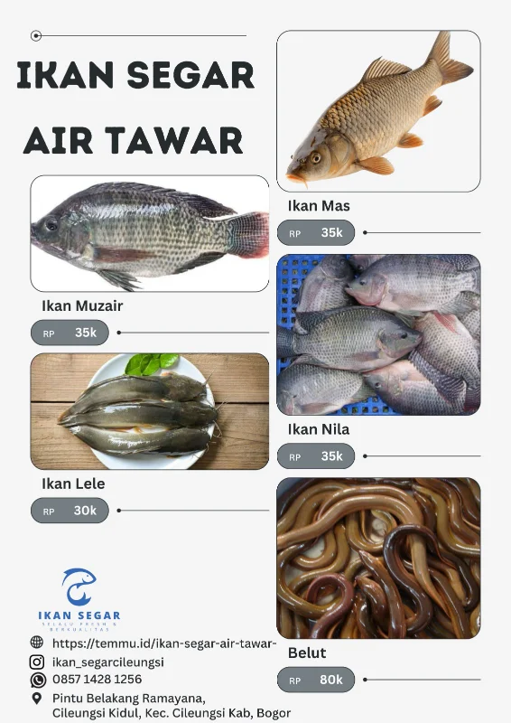 Ikan Mas