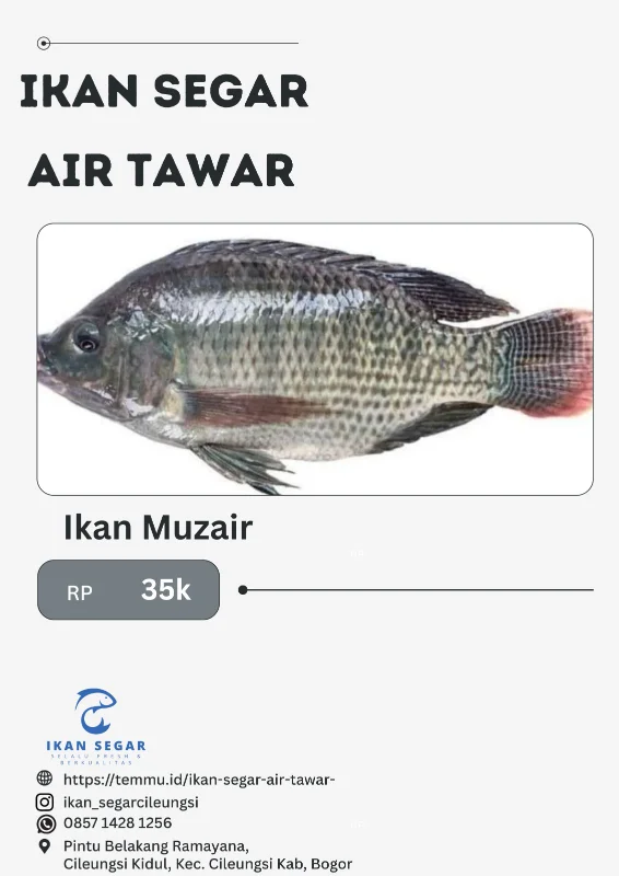 Ikan Muzair