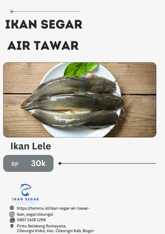 Ikan Lele