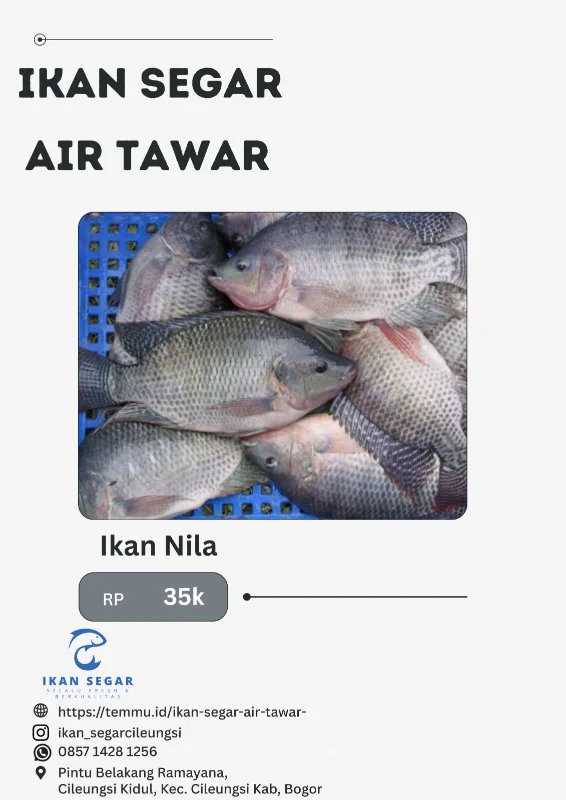 Ikan Nila
