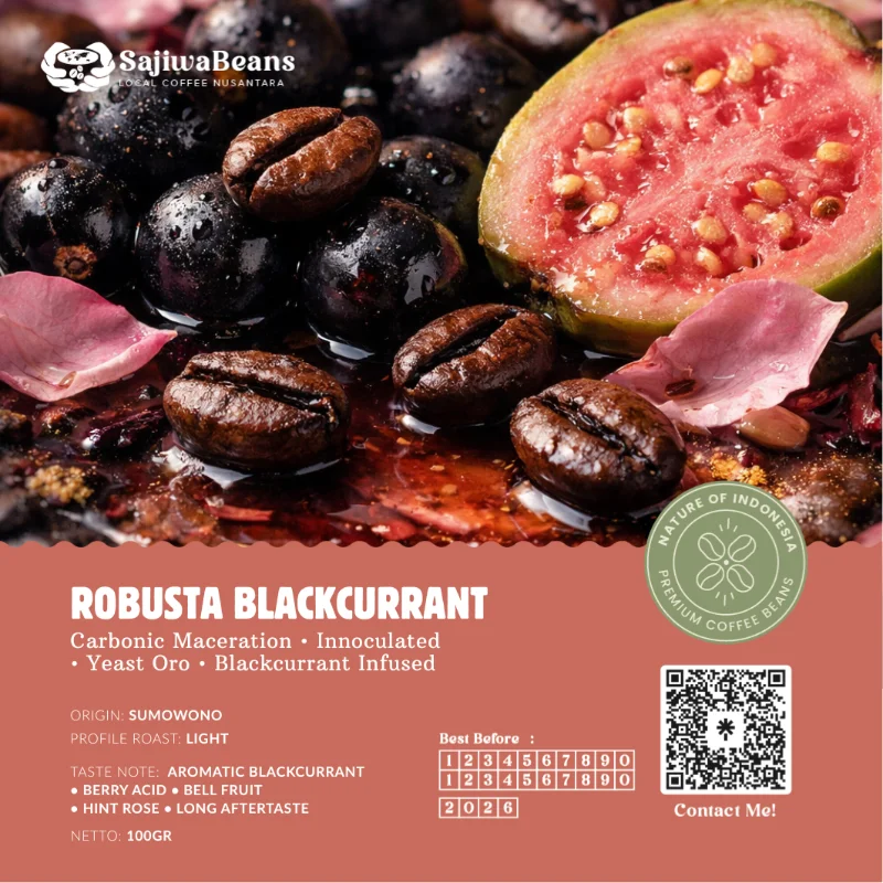 Robusta Blackcurrant [SOLD OUT]