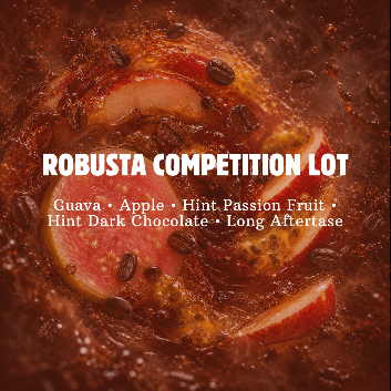 Robusta Competition Lot