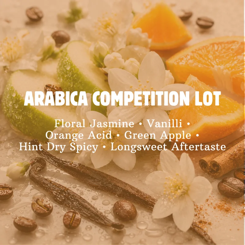 Arabika Competition Lot Fullwash Classic 
