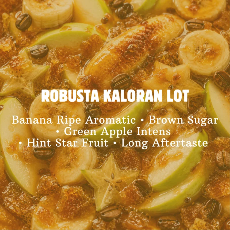 Robusta Kaloran Lot