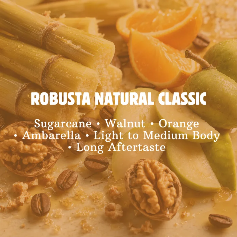 ROBUSTA NATURAL CLASSIC SPECIALTY 