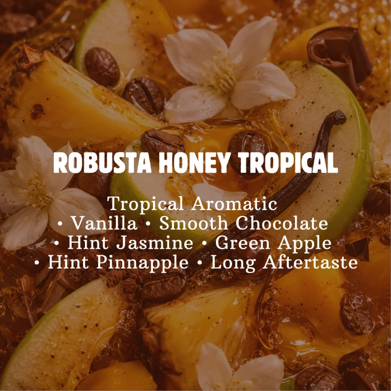 Robusta Honey Tropical
