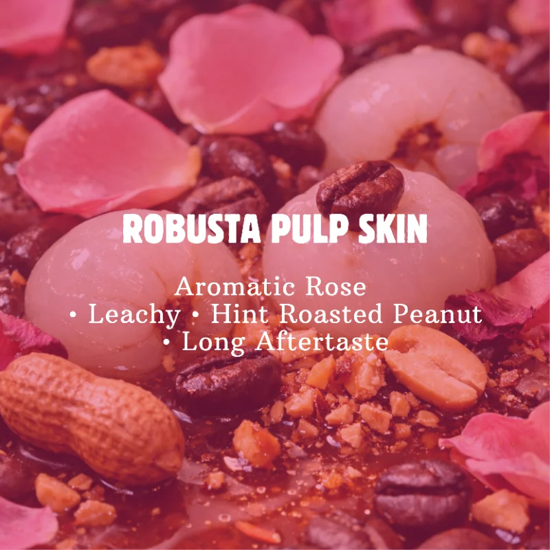 ROBUSTA PULP SKIN