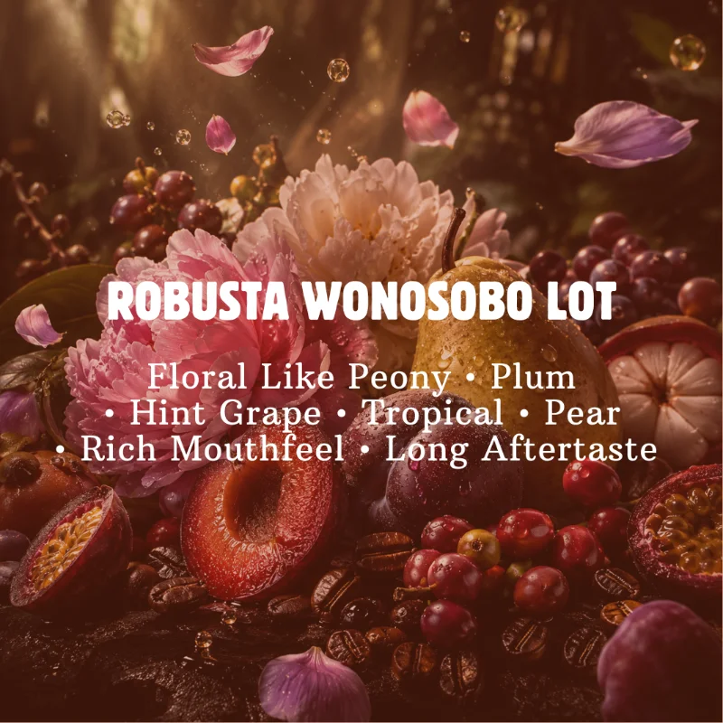 Robusta Wonosobo Lot