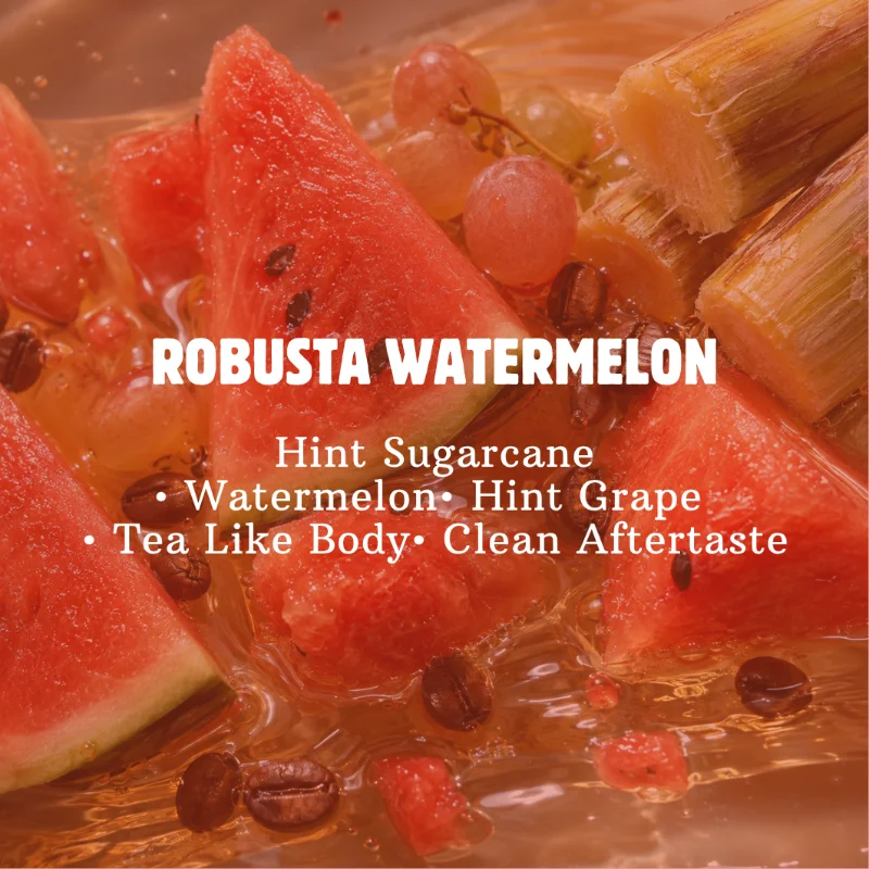 ROBUSTA WATERMELON