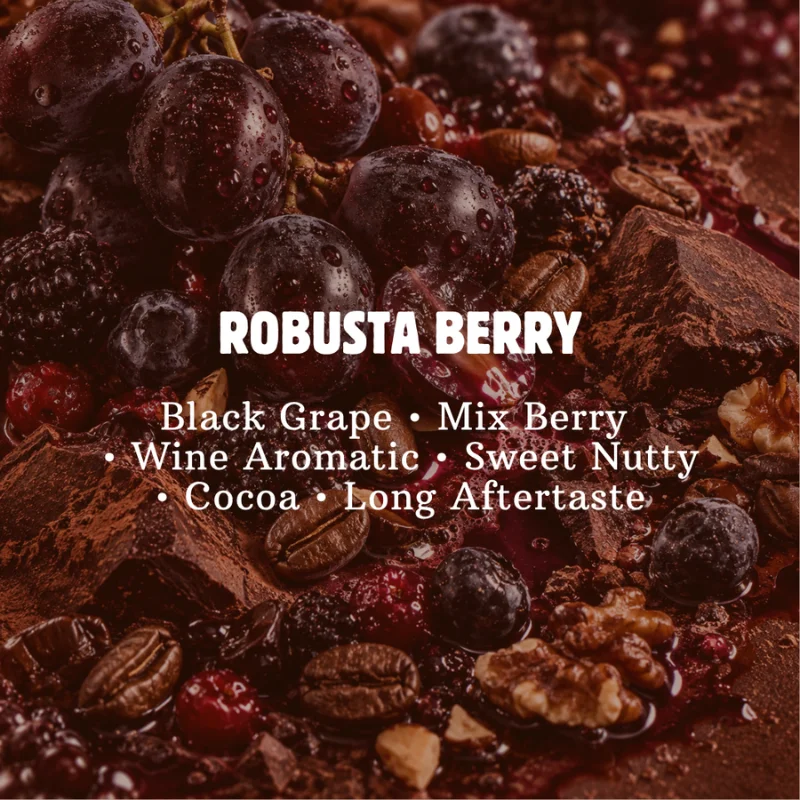 ROBUSTA BERRY