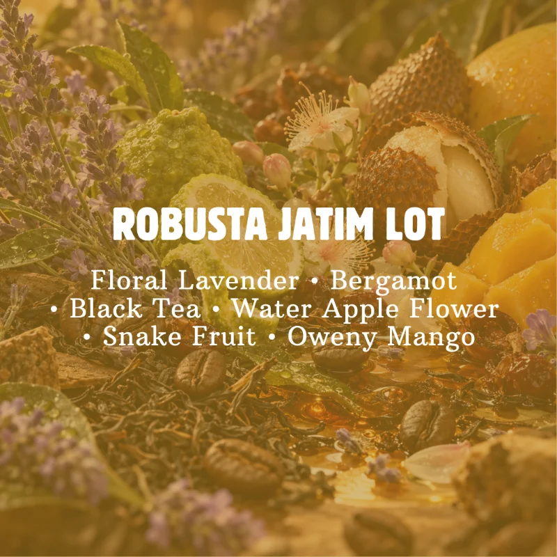 Robusta Jatim Lot Eksperimental